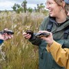 Assisted colonisation of Australia’s rarest reptile: The western swamp turtle