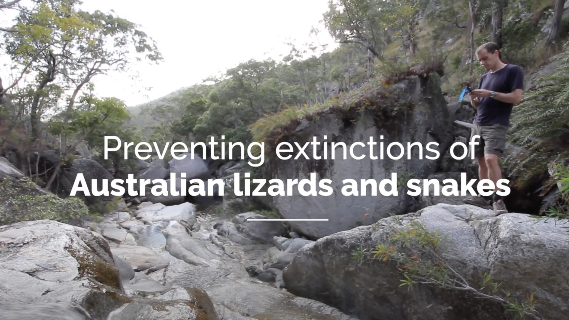 Preventing extinctions of Australian lizards and snakes