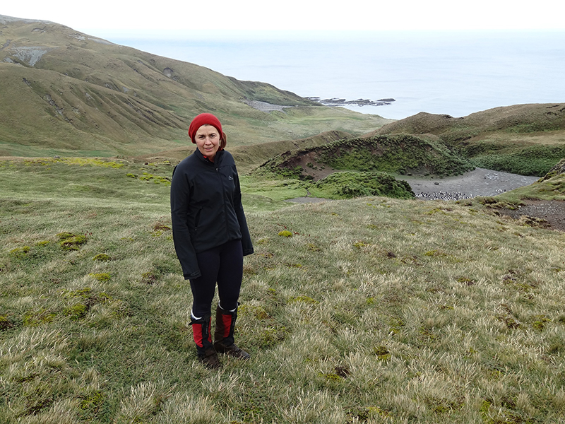 Watching Macquarie Island transform after a massive intervention