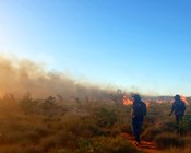 Pirra Jungku (desert fire): New ways for traditional burning