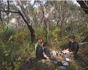 Detecting and protecting the Kangaroo Island dunnart