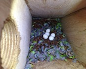 Hub researchers in the news