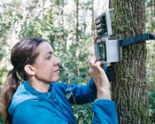 Better detection and monitoring vital for better conservation outcomes