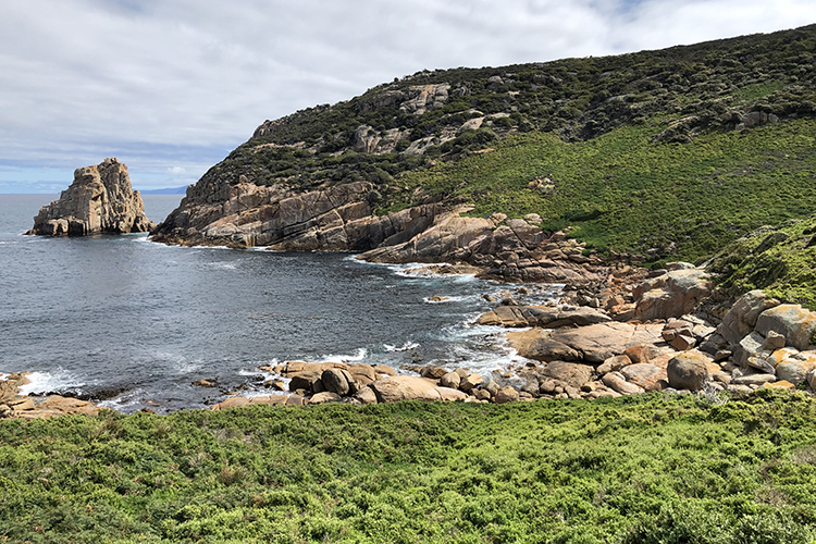 Actions for saving threatened species on priority islands