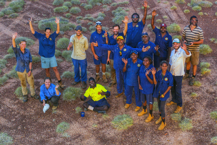 Appeasing Bluetongue Managing fire in the Great Sandy Desert