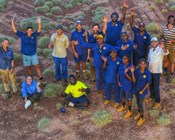 Appeasing Bluetongue Managing fire in the Great Sandy Desert