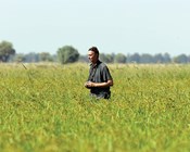 Researcher Profile: Matt Herring