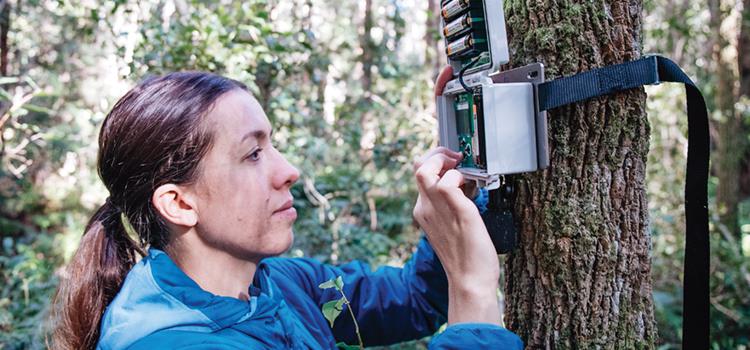 National monitoring priorities, process and prospectus for threatened species