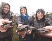 Western swamp tortoises move to a cool new home
