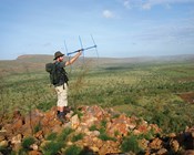 Fire, cats, foxes and land management: Lessons learned