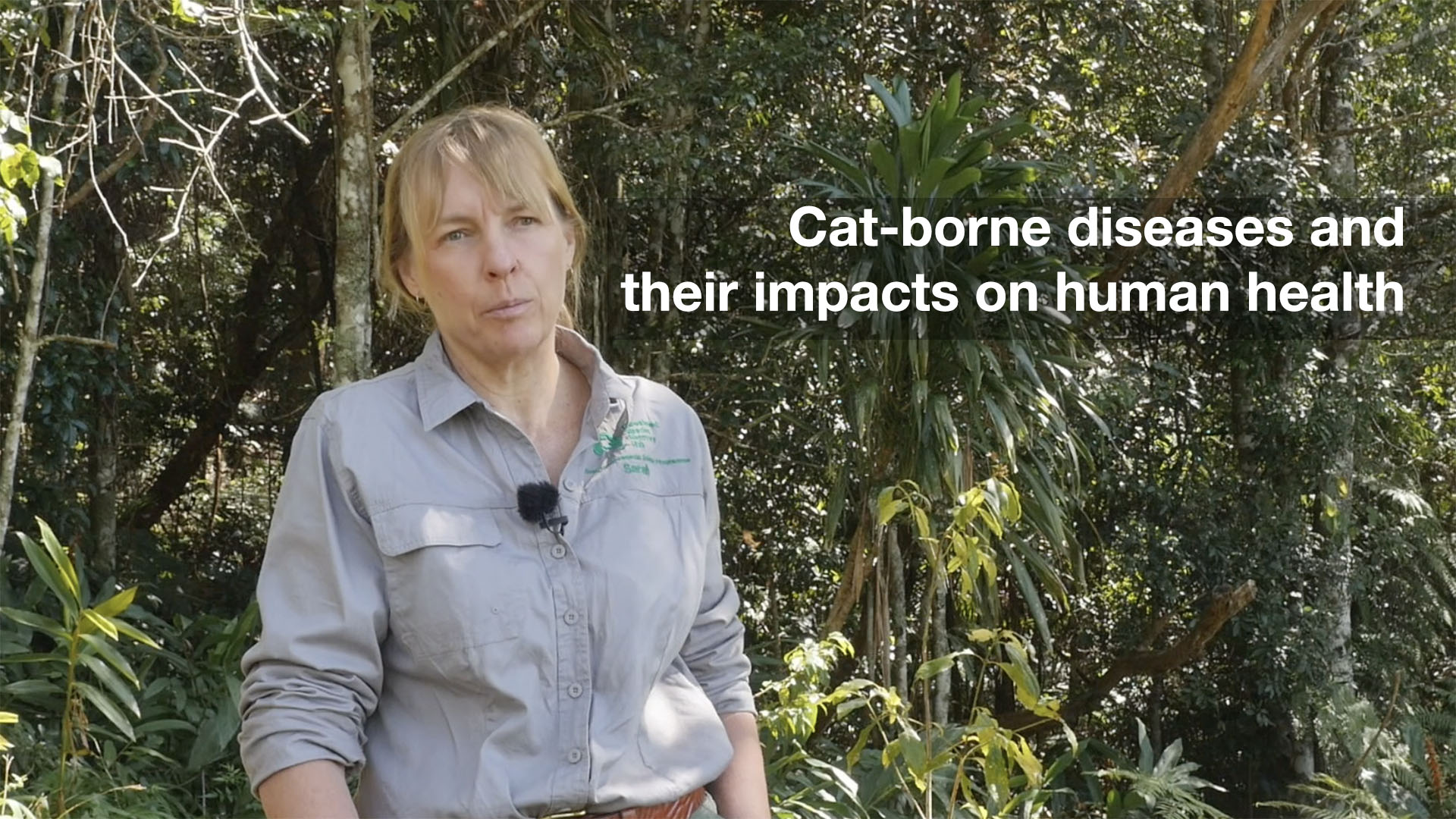 Cat-borne diseases and their impacts on human health