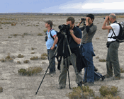 Citizen, where art thou?