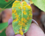 Reducing threats to species and ecosystems to promote recovery