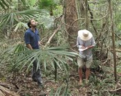 Native guava first Australian casualty of global plant disease