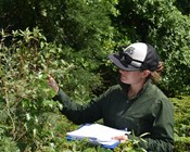 Most of Australia’s threatened plants aren’t being monitored, increasing the risk of extinctions.