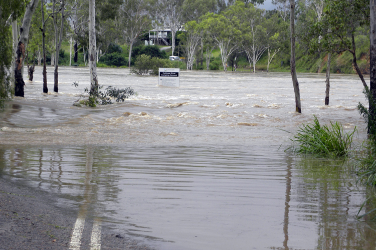 Droughts, heatwaves, floods and fires - Threatened species in a changing world