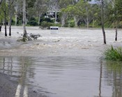 Droughts, heatwaves, floods and fires - Threatened species in a changing world