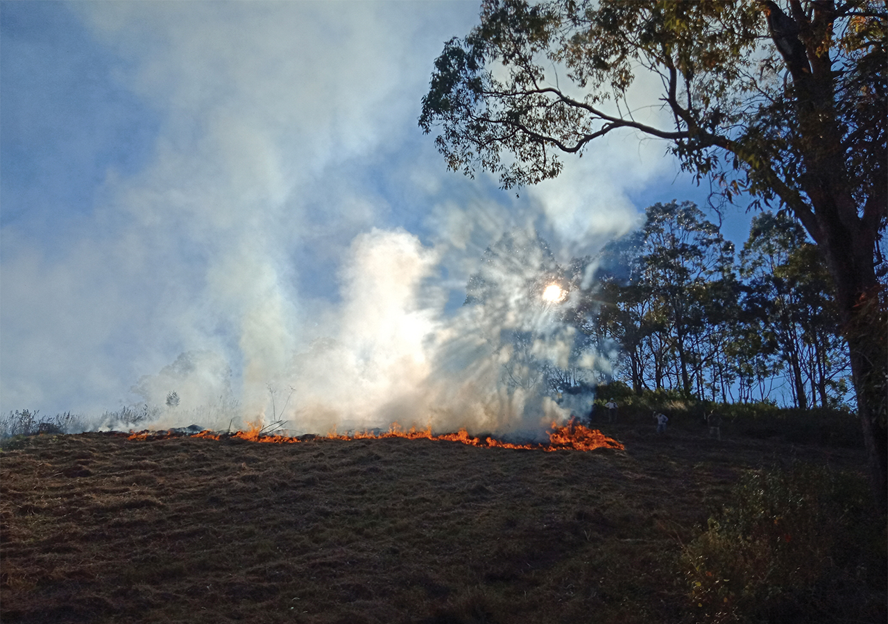 Indigenous aspirations and capacity for bushfire response