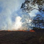 Indigenous aspirations and capacity for bushfire response