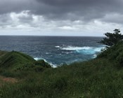 Success, failure and lessons learned on Australian islands