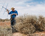 Rabbit burrows helping cats colonise new frontiers