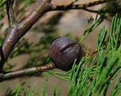 Welcome to the Community