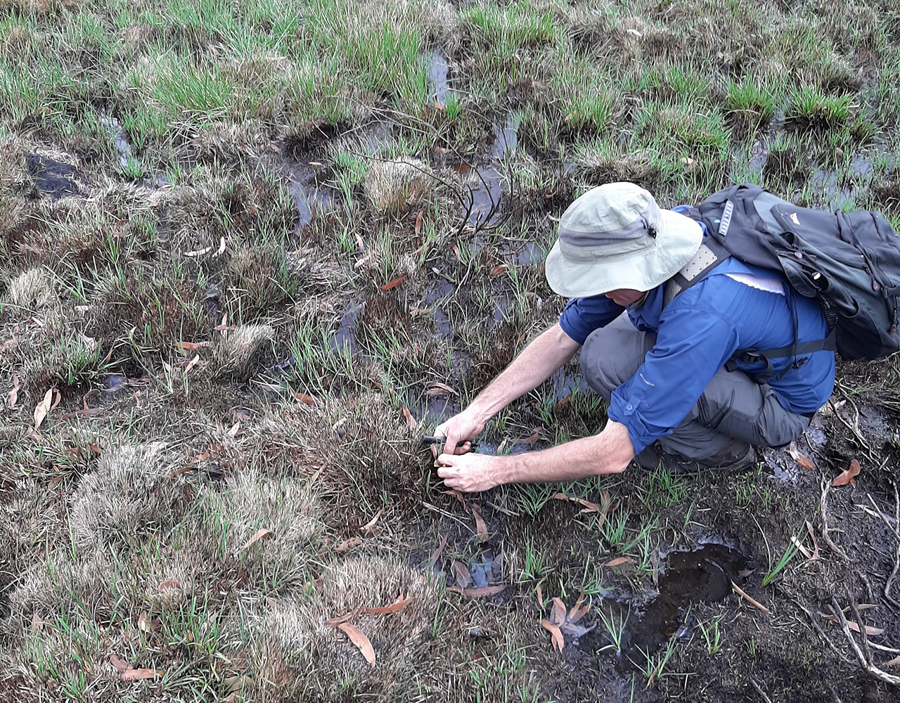 Design for post-fire impact monitoring, including synthesis of current monitoring projects