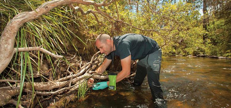 Saving threatened frogs with refuges from disease, fish predation and fragmentation
