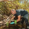 Saving threatened frogs with refuges from disease, fish predation and fragmentation