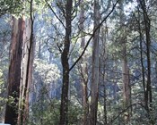 Beyond offsetting: Target-based ecological compensation