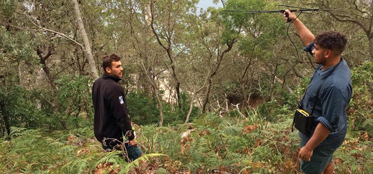 Methods for measuring uptake and outcomes from environmental research