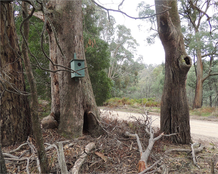 Putting the heat on nest boxes