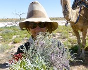 A Red Hot List for threatened plants