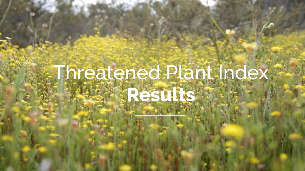 The Threatened Plant Index of Australia: 2020 results