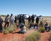 A Martu method for monitoring mankarr (greater bilby)