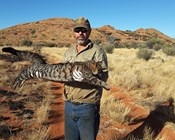 Tracking cats to help the night parrot
