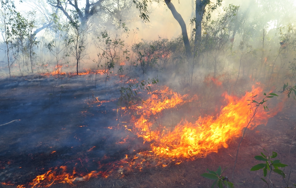 Partnerships with Indigenous communities key for threatened species