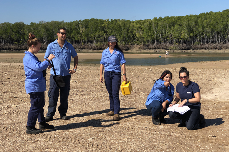 Larrakia action for the far eastern curlew on their saltwater country