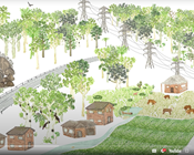 The ins and outs of biodiversity offsetting explained