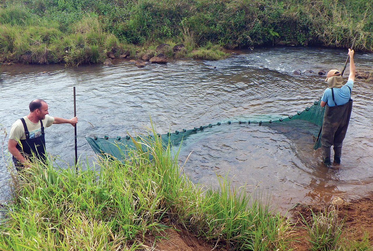 Big trouble for little fish: The 22 freshwater fishes  at risk of extinction