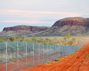 Thirteen mammal extinctions prevented by havens, study