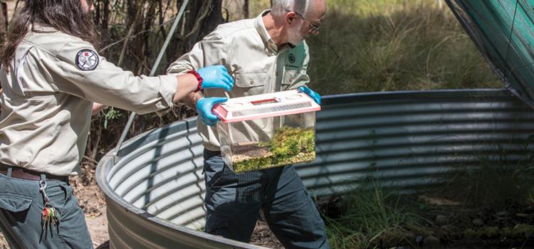 A knowledge synthesis to inform a national approach to fighting extinction