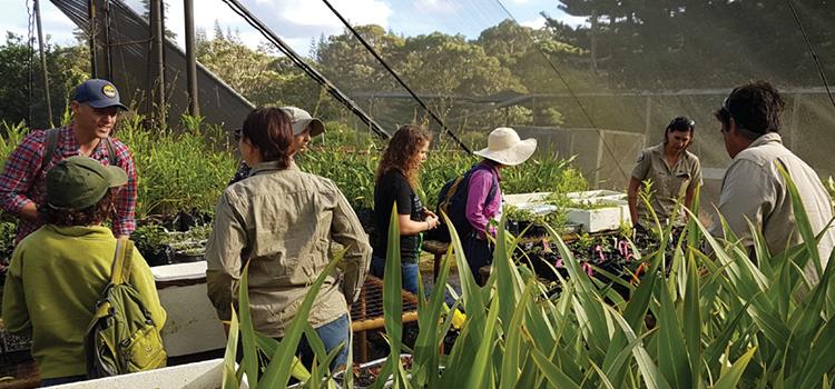 Key factors for effective partnering for threatened species recovery