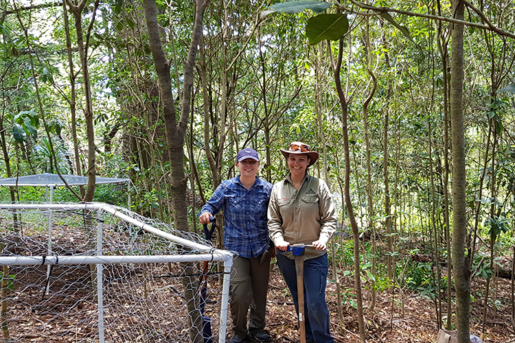 Norfolk Island’s threatened flora