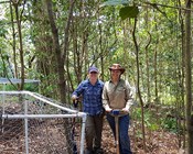 Norfolk Island’s threatened flora
