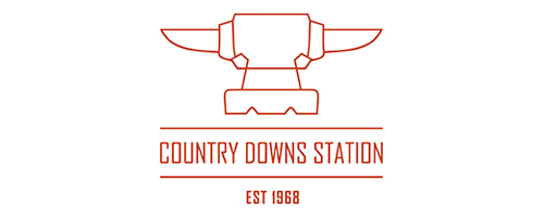 Country Downs Station