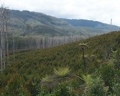 Videos: Environmental Economic Accounts for the Victorian Central Highlands