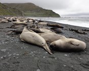 Joining the dots: working together to protect our island network