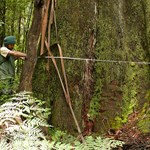 Ecosystem Accounts in the Victorian Central Highlands
