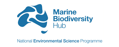Marine Biodiversity Hub